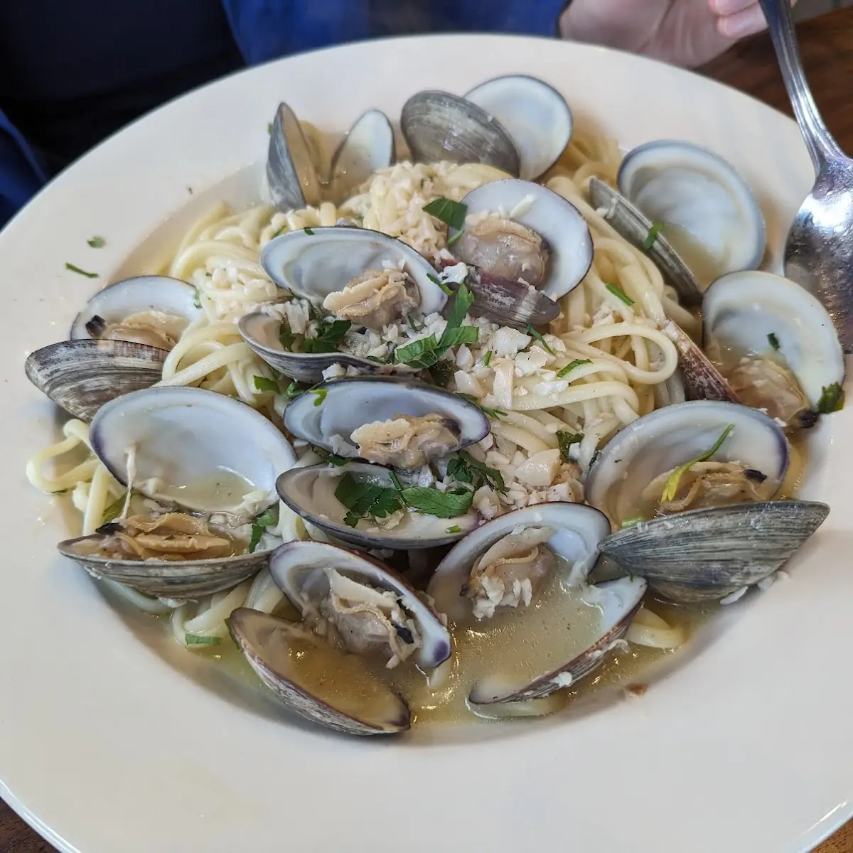 Clam Sauce Linguine