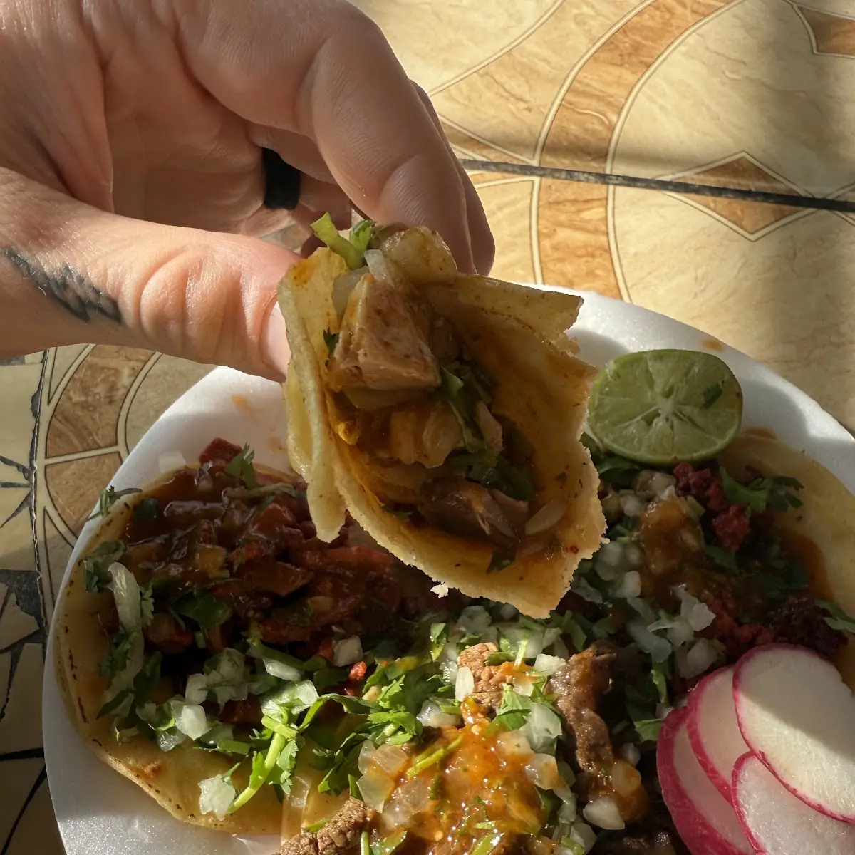 Asada & Al Pastor Street Tacos
