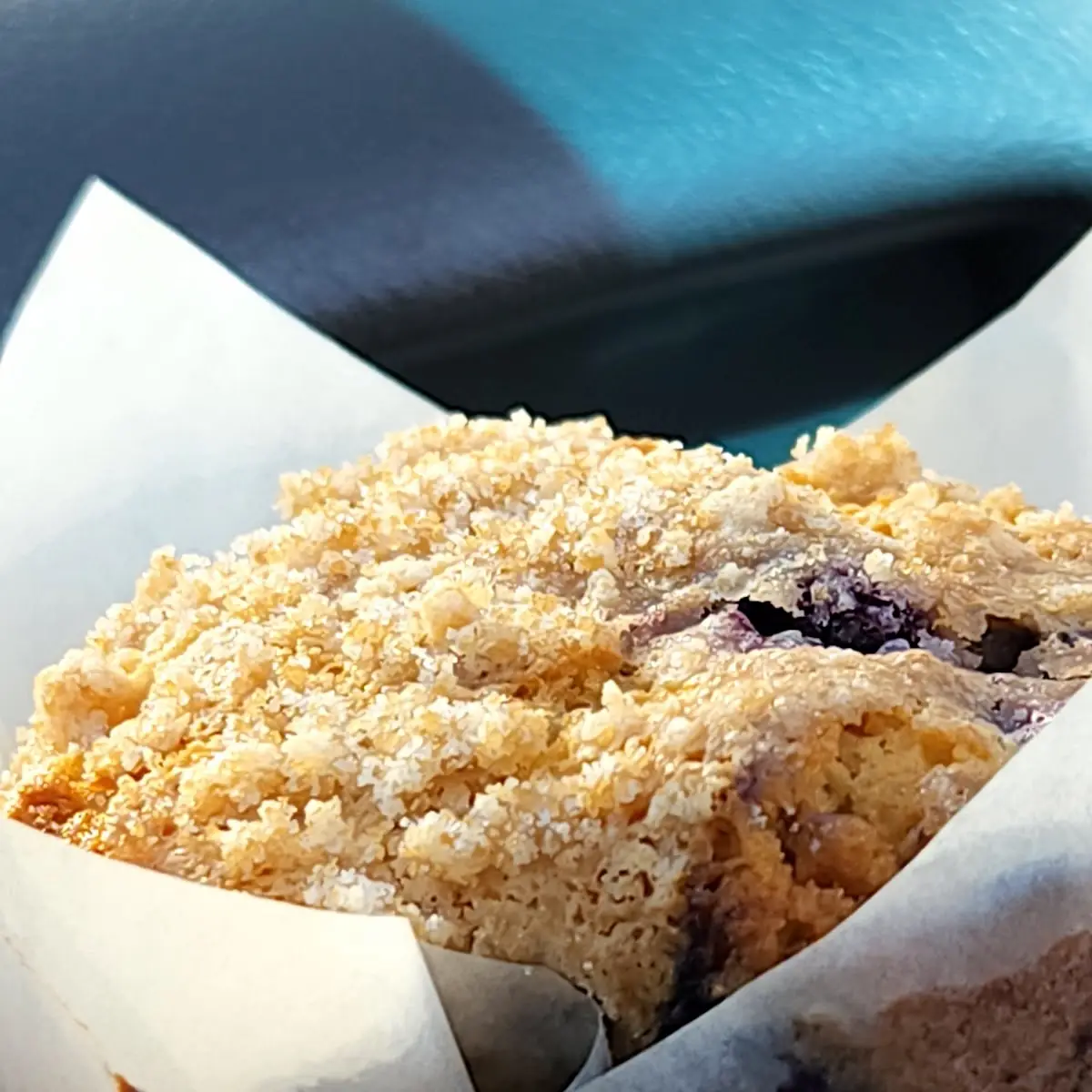 Blueberry Muffin