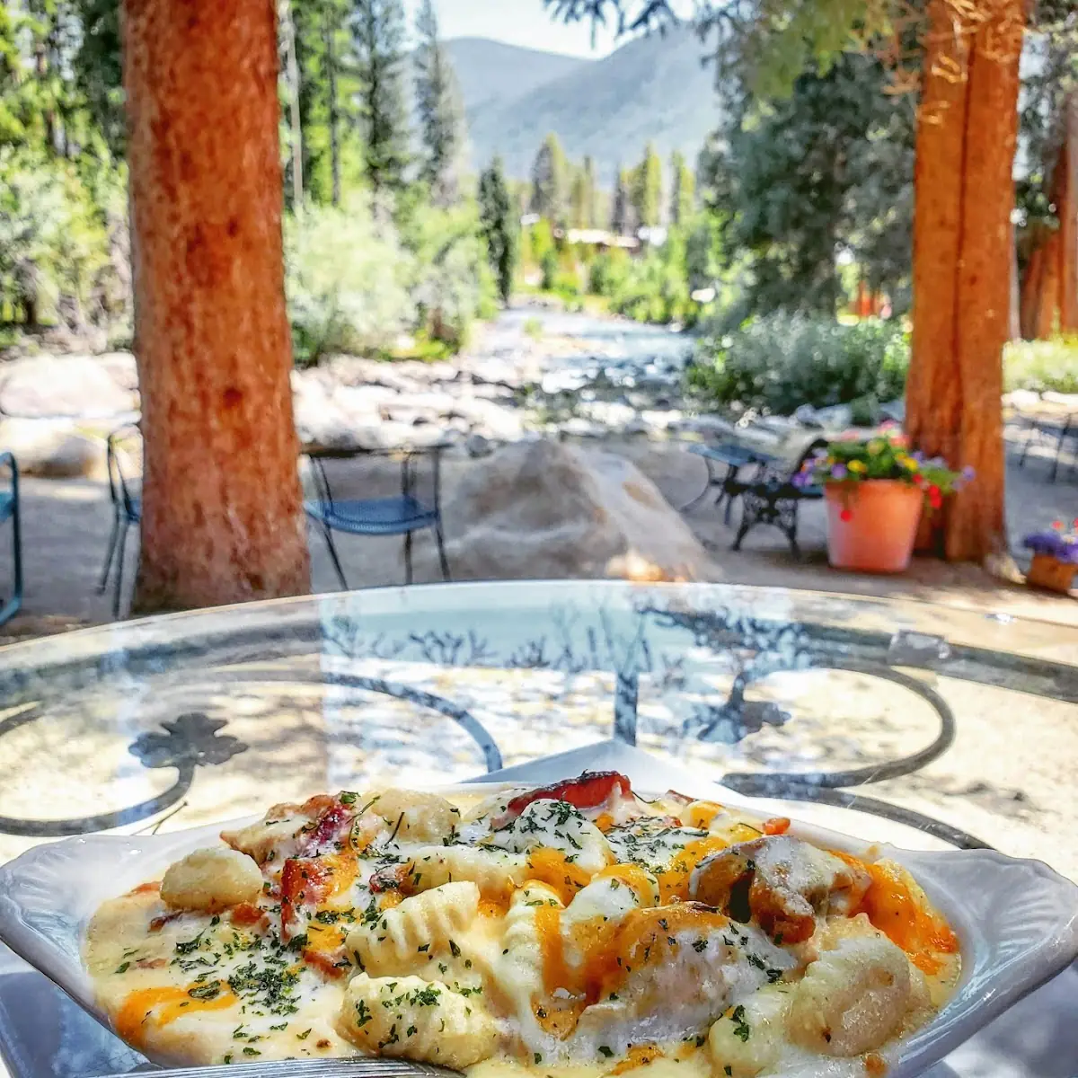 Cheese Gnocchi