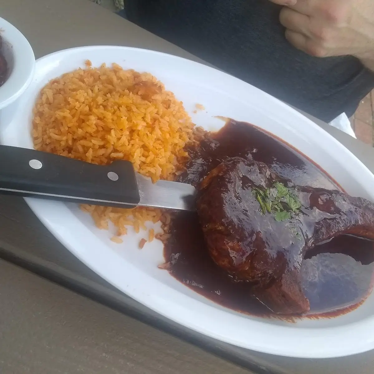 Pork Chop with Mole