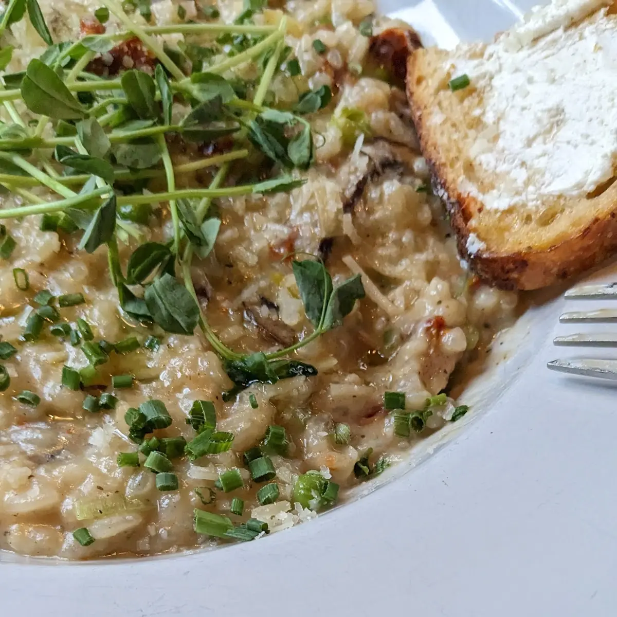 Mushroom Risotto