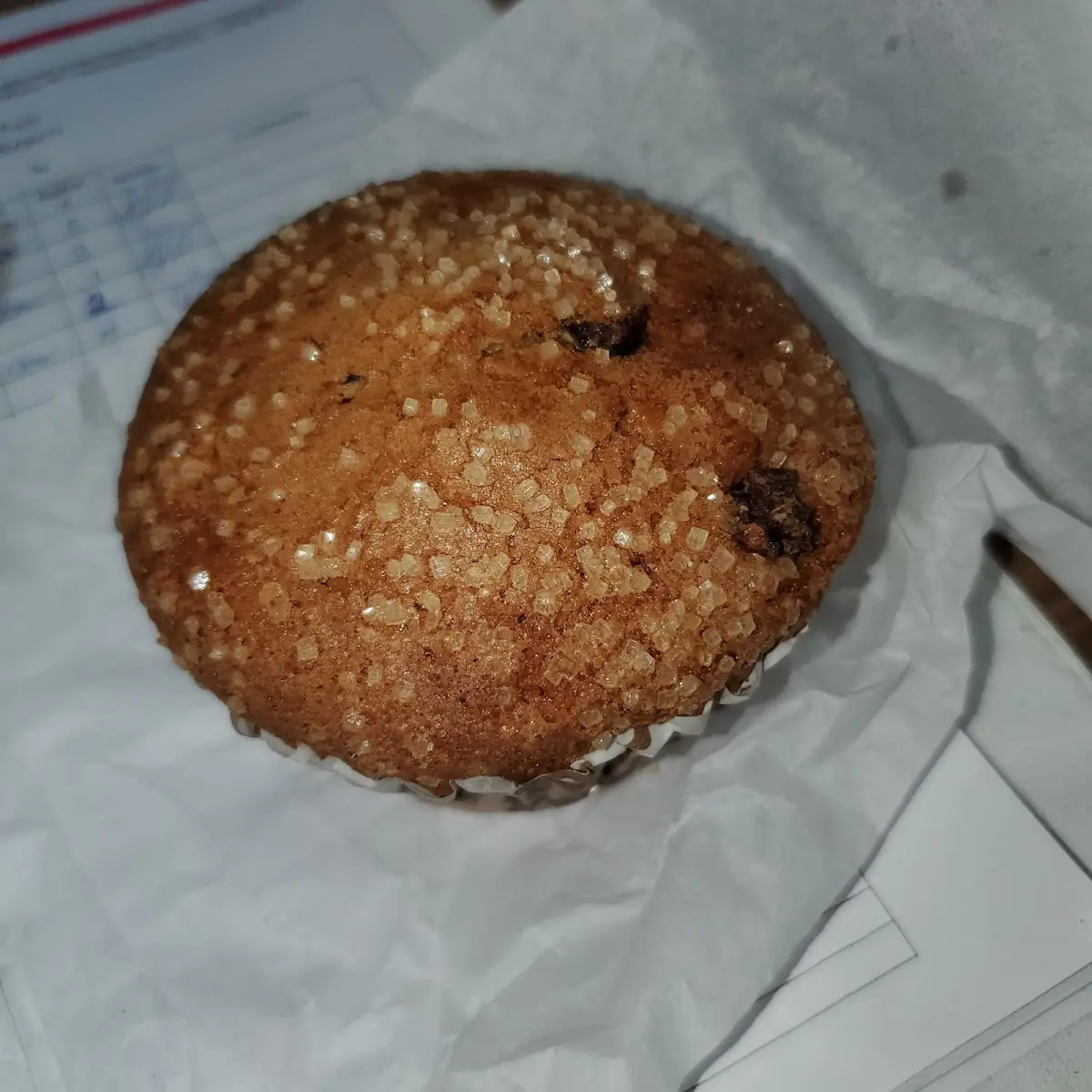 Chocolate Muffin