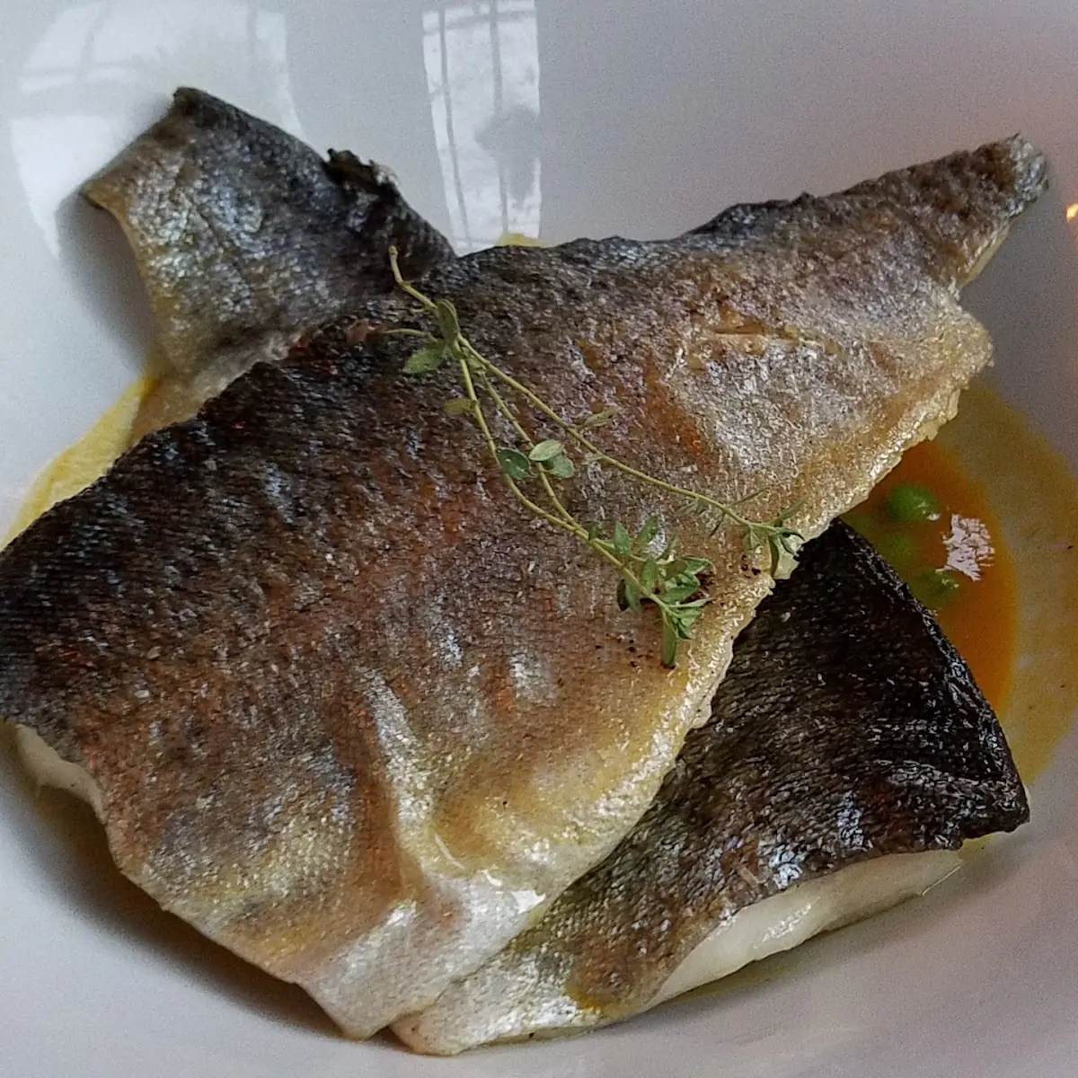 Sea Bass
