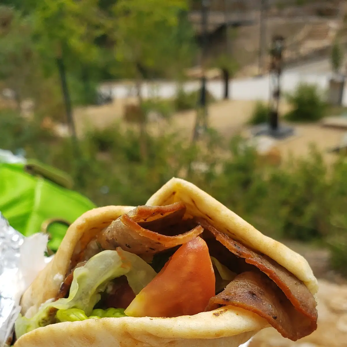 Gyro Sandwich