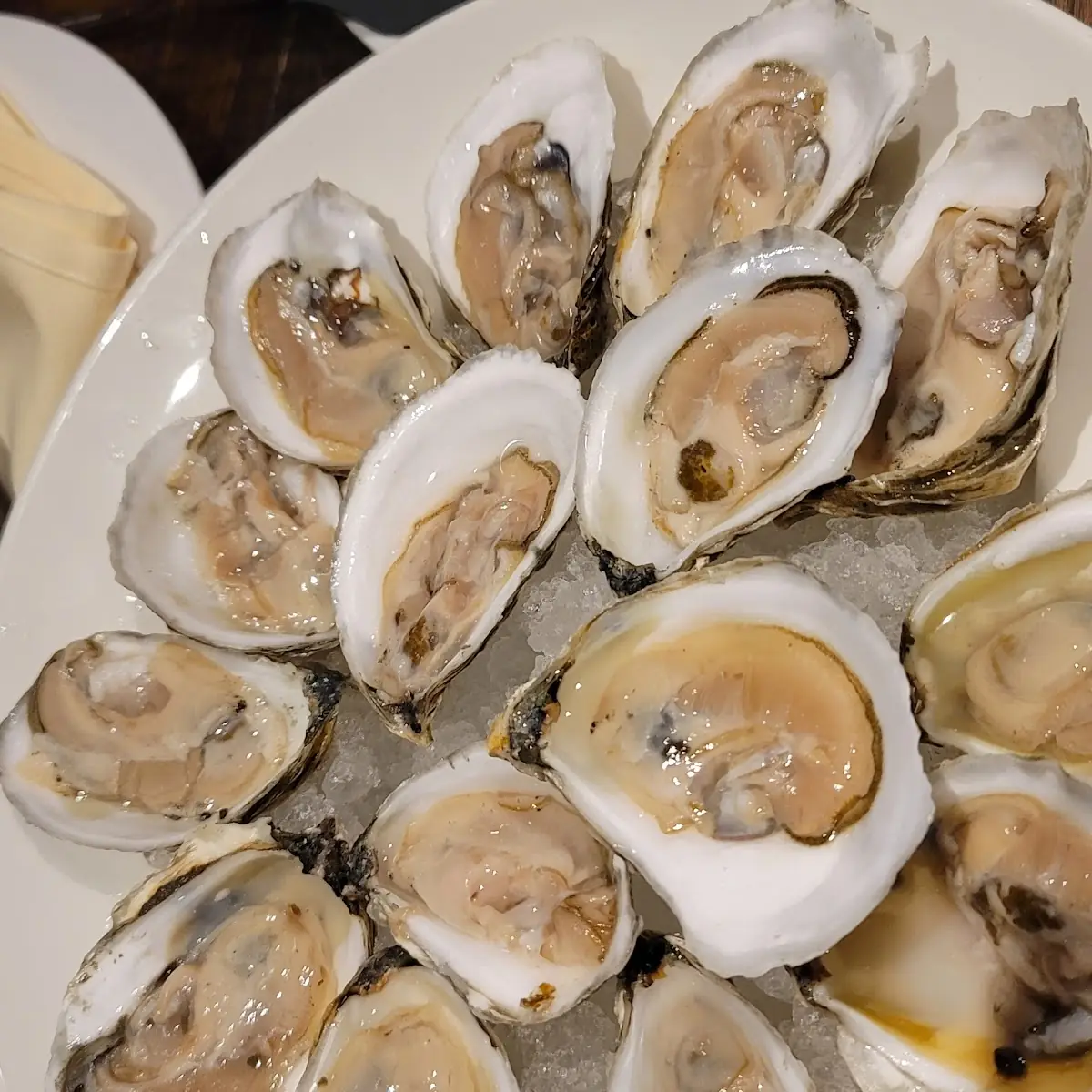 Raw Oysters