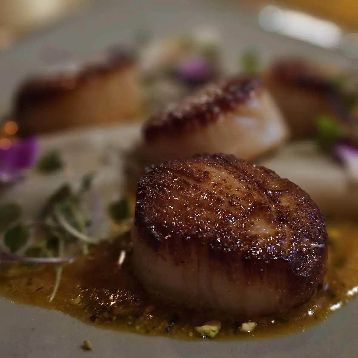 Sea Scallops