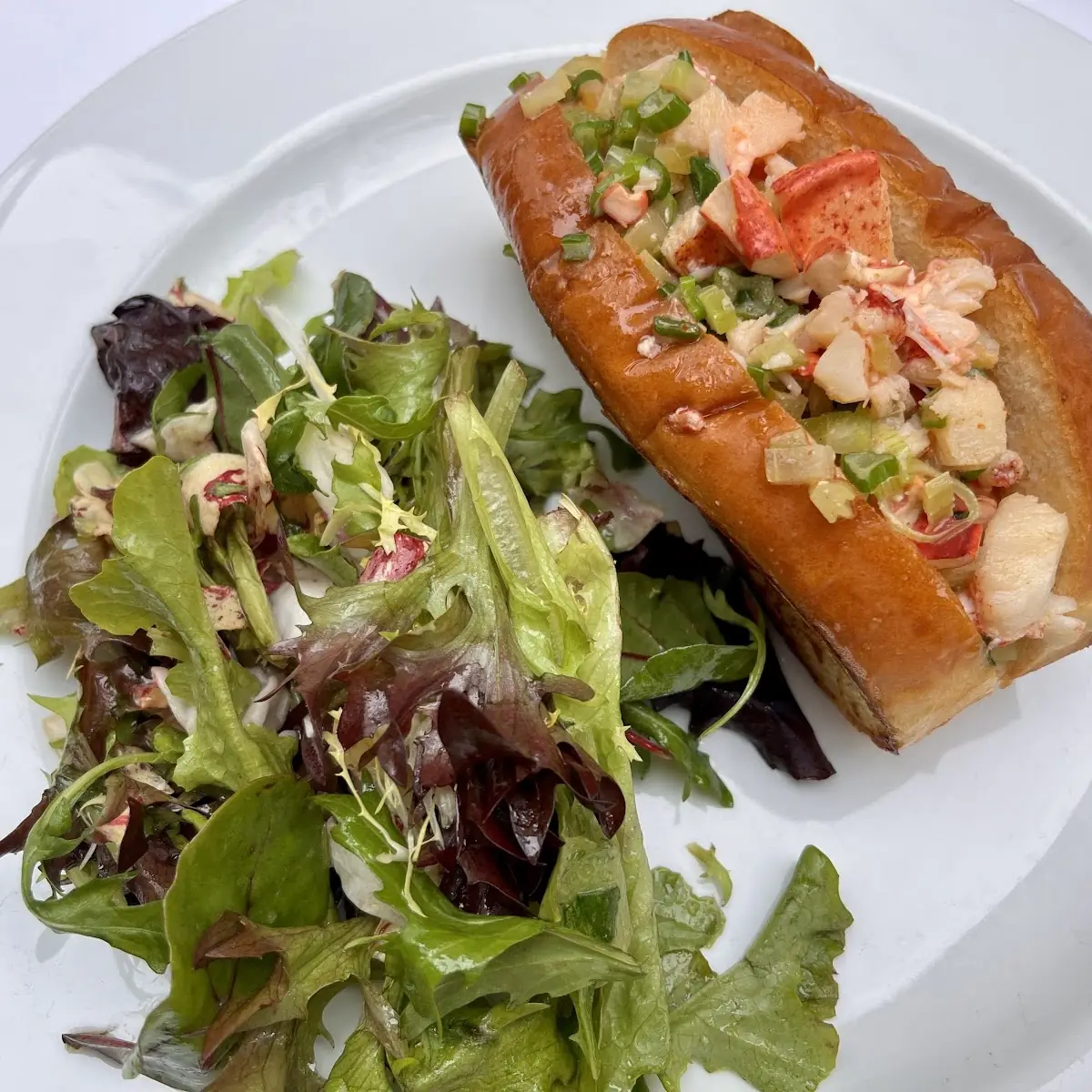 Lobster Roll