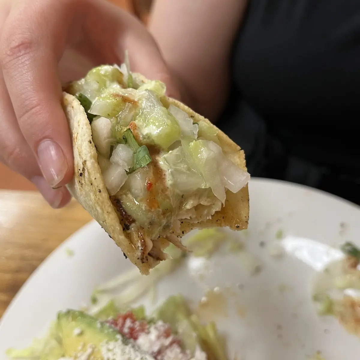 Carnitas Taco