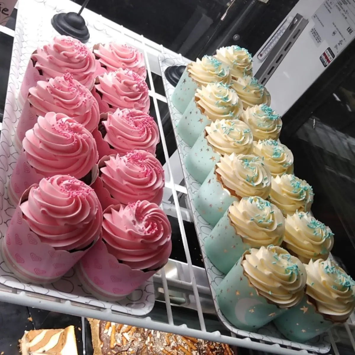 Chocolate Chip Cupcakes and Vanilla Cupcakes