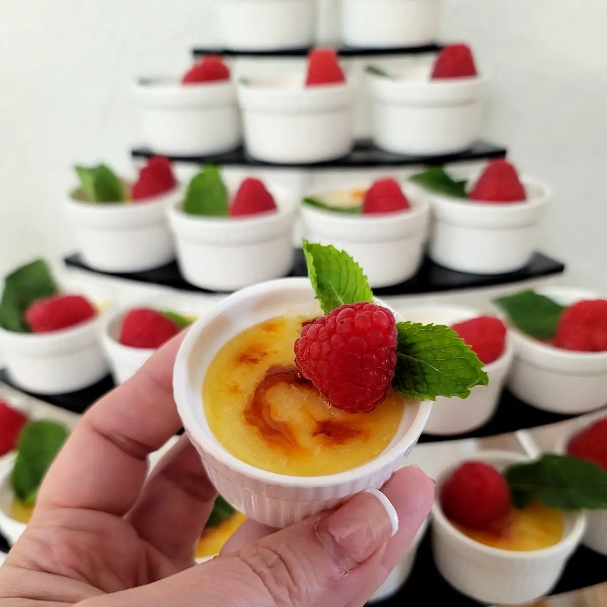 Cream Brulee