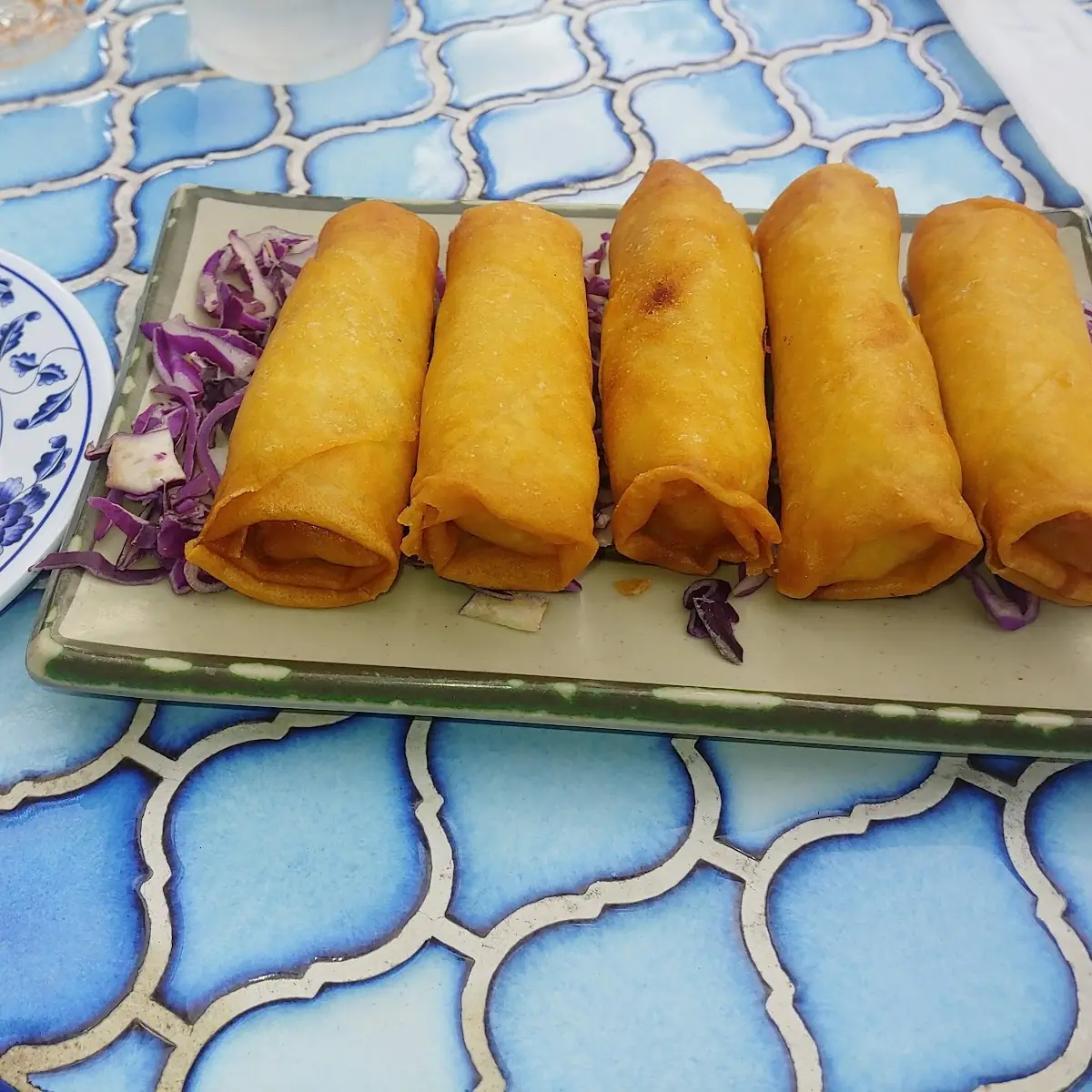 Fried Veggie Spring Rolls