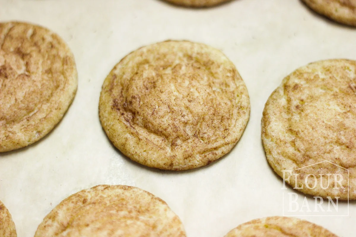 Chocolate Chip Snickerdoodle