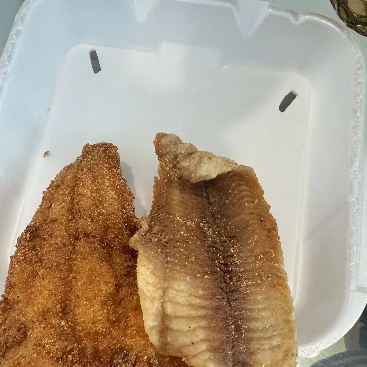 Catfish Fillet