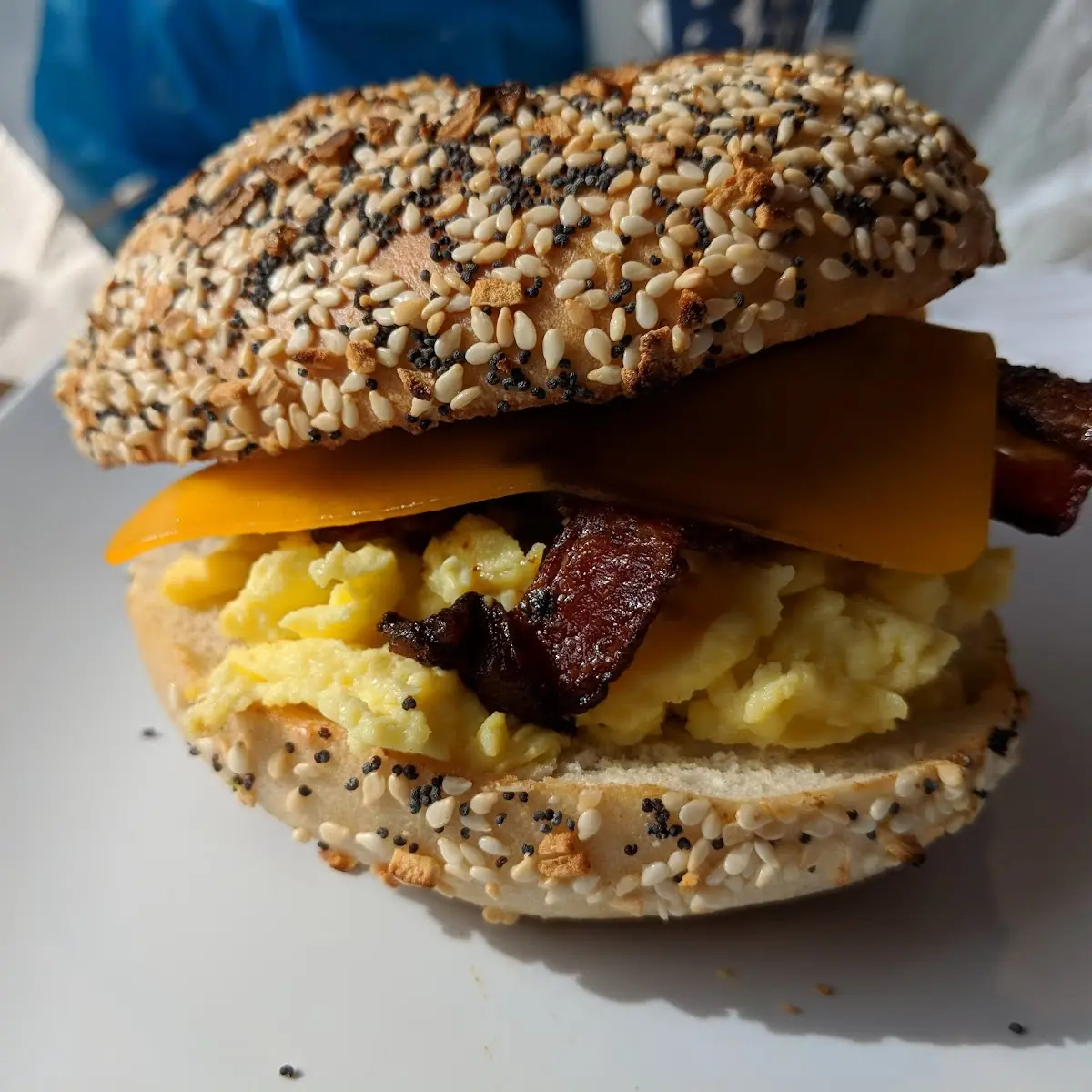 Bacon Egg Cheddar Everything Bagel