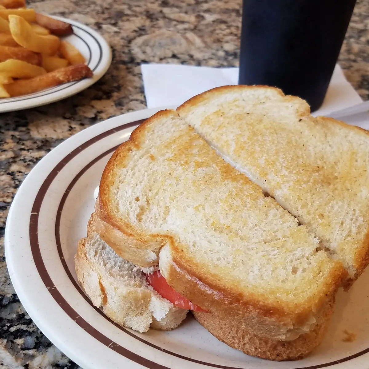 Tuna Melt Sandwich with Fries