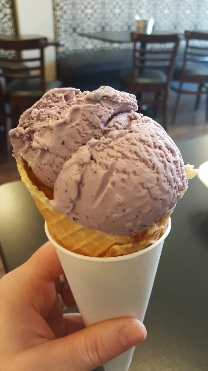 Chocolate Ice Cream