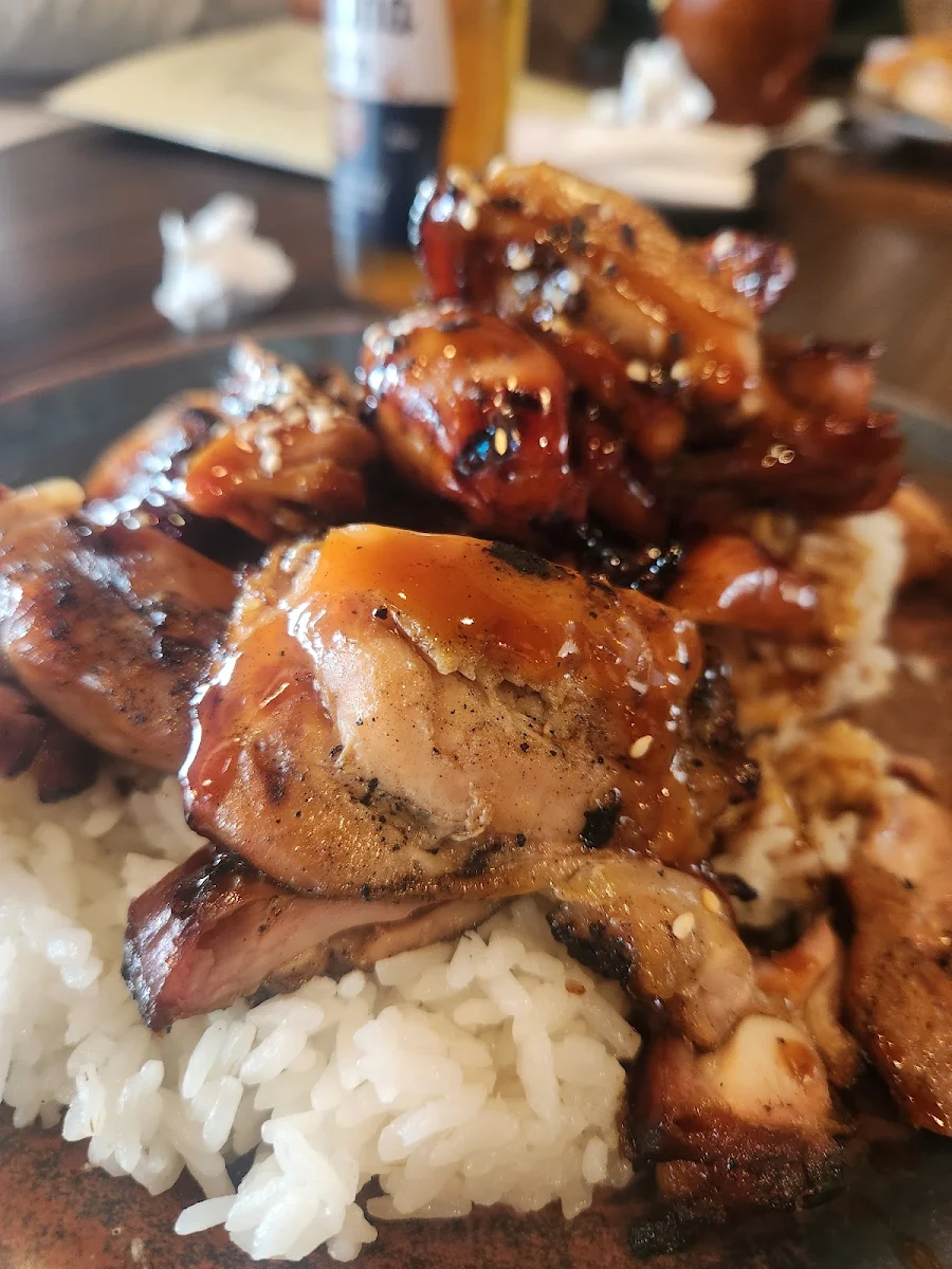 Teriyaki Chicken and Rice