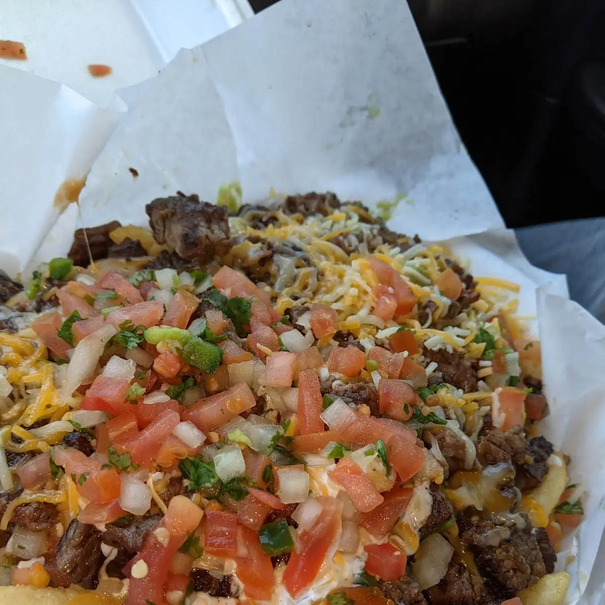 Carne Asada Fries