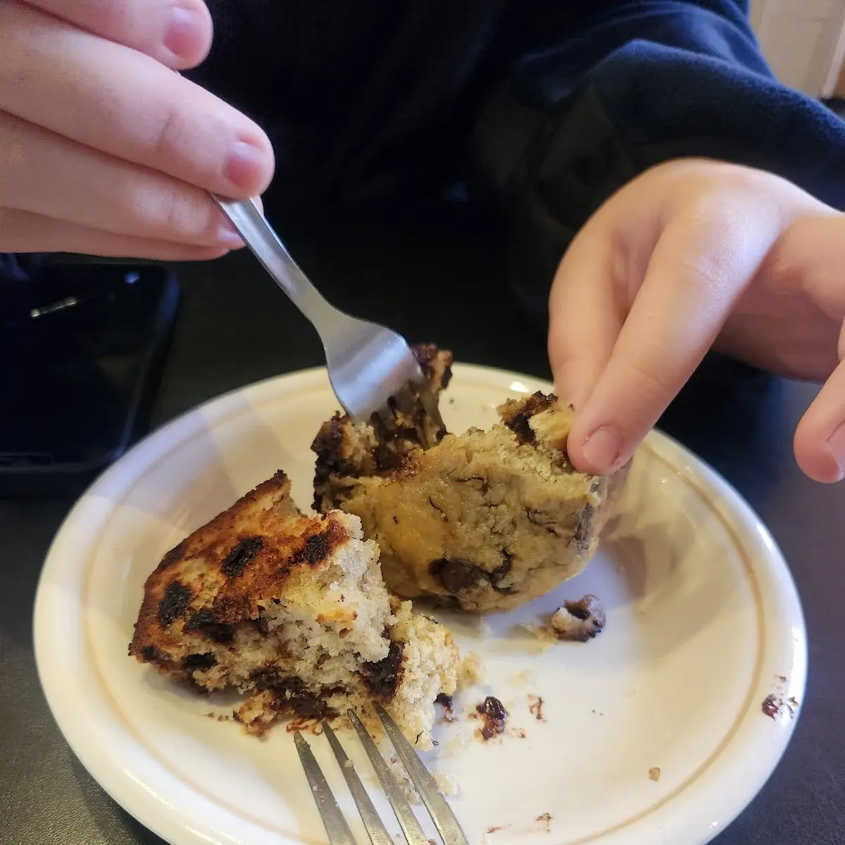 Chocolate Chip Muffin
