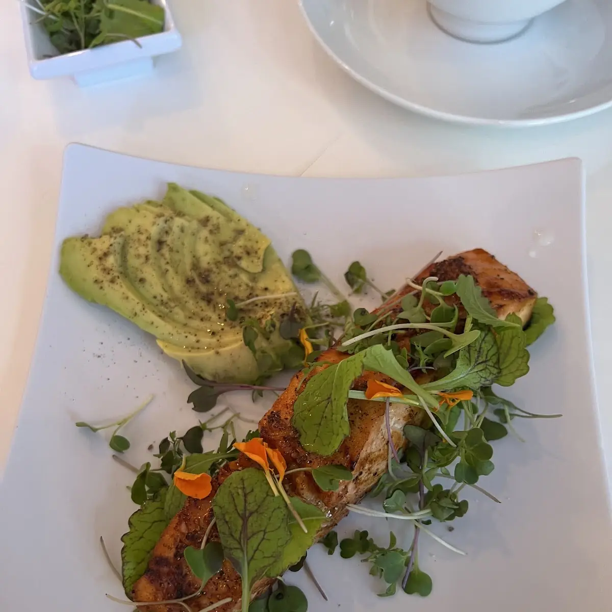 Salmon Fillet