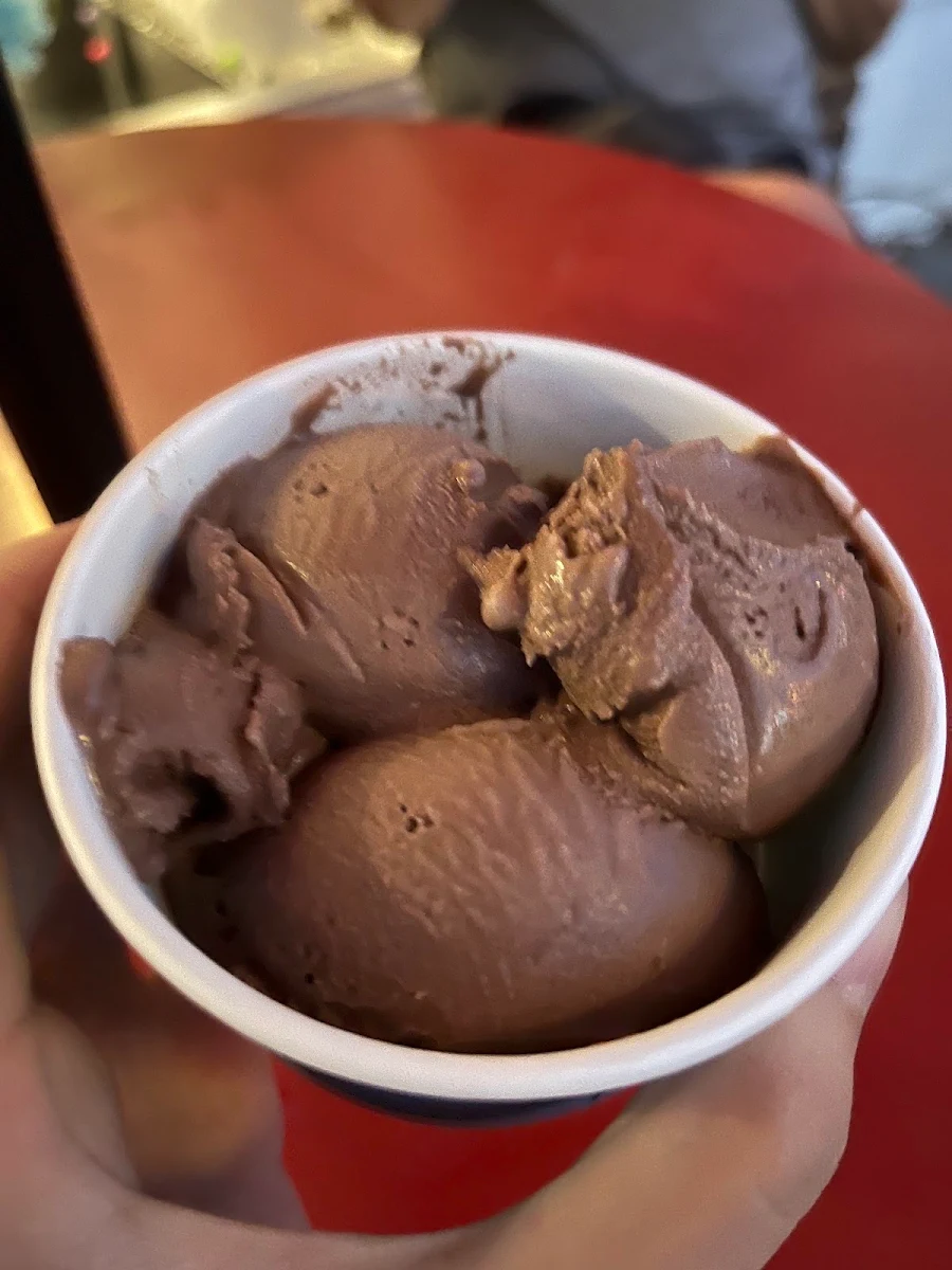 Chocolate Ice Cream