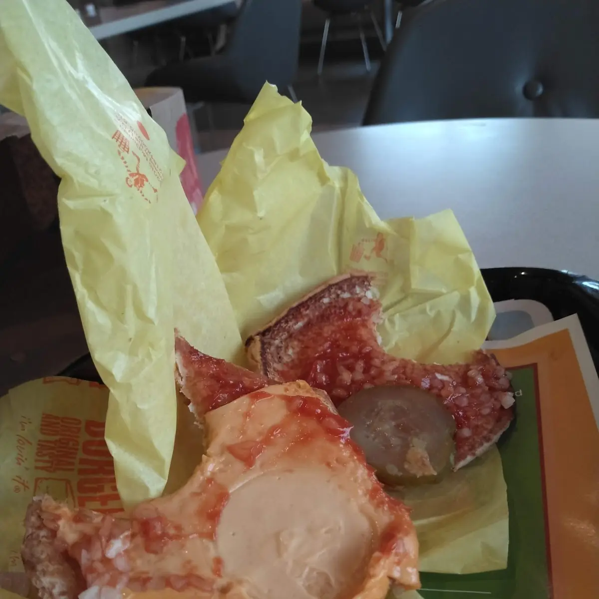 Hamburgerless Hamburger They Forgot the Beef Patty