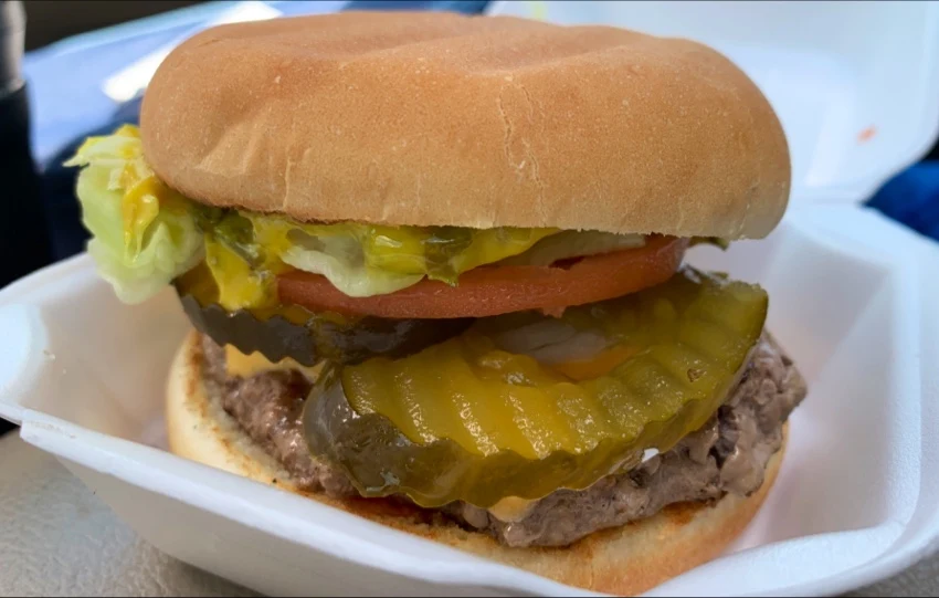 Cheeseburger All Dress