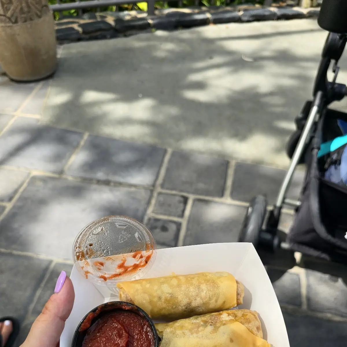 Pepperoni Spring Roll