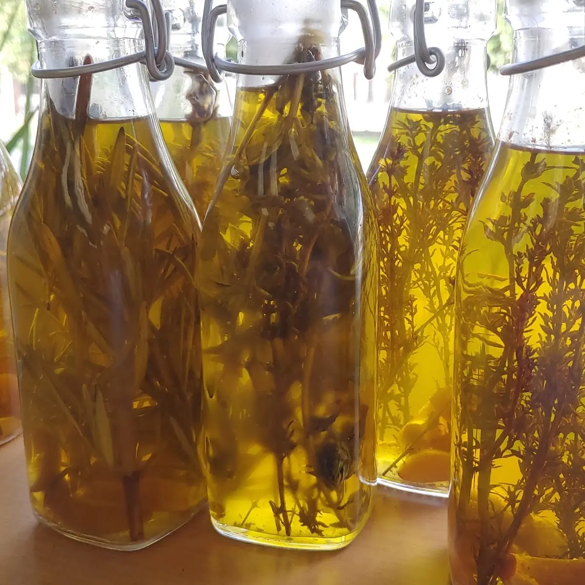 Olive Oil