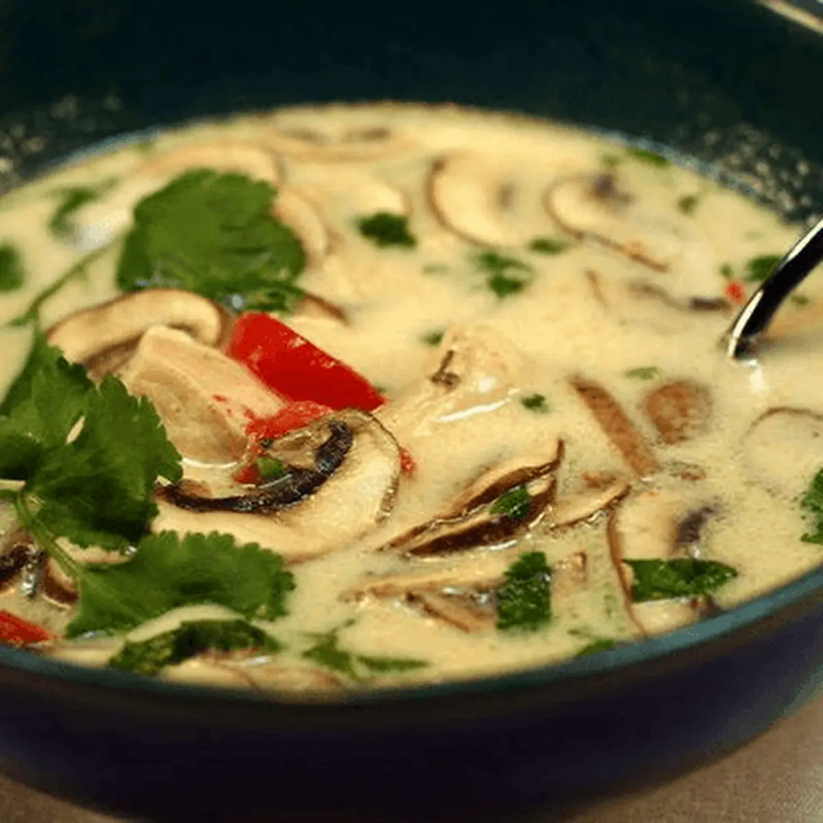 Thai Coconut Basil Soup