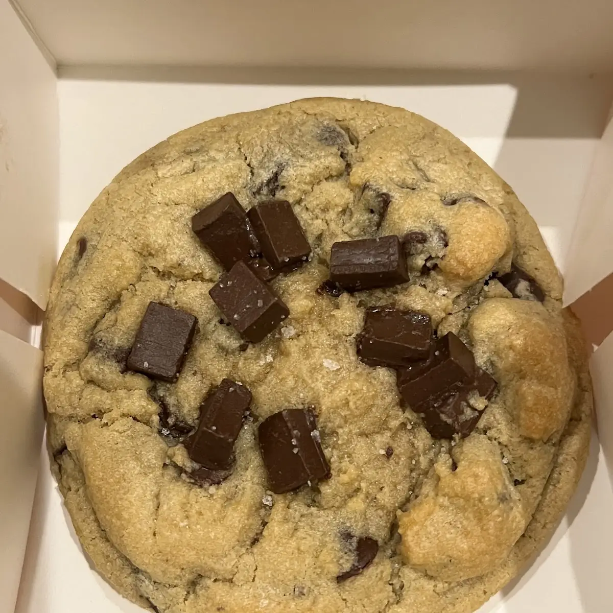 Chocolate Chip Cookie