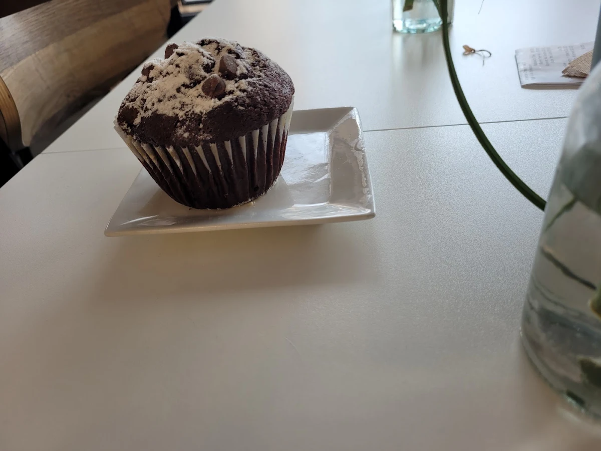 Chocolate Muffin