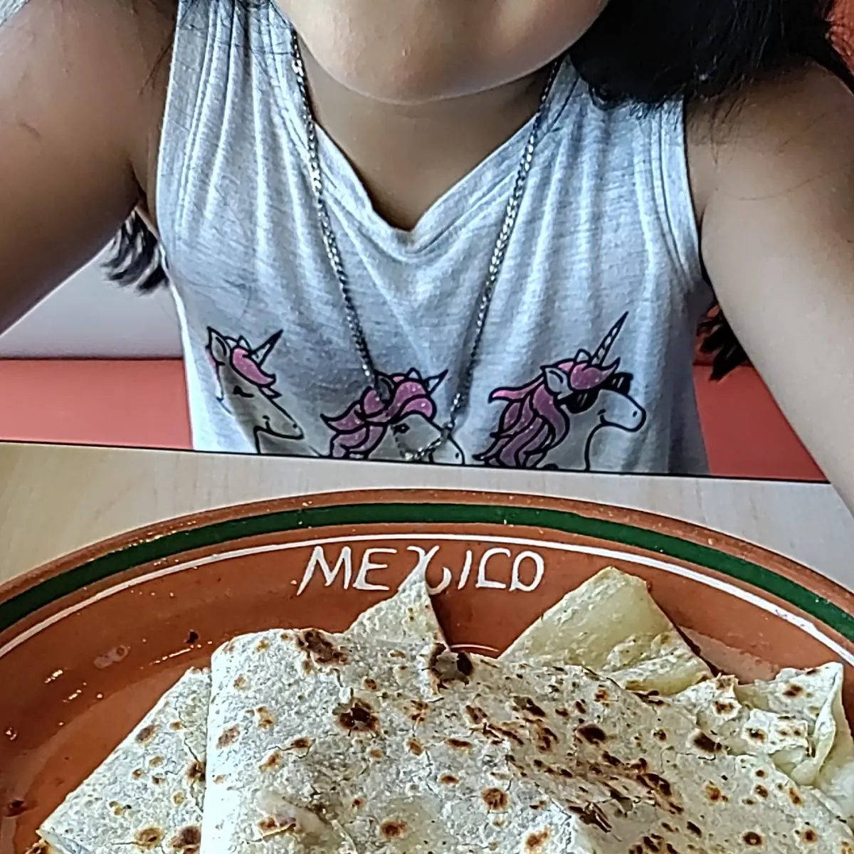 Quesadilla de Pollo Asado