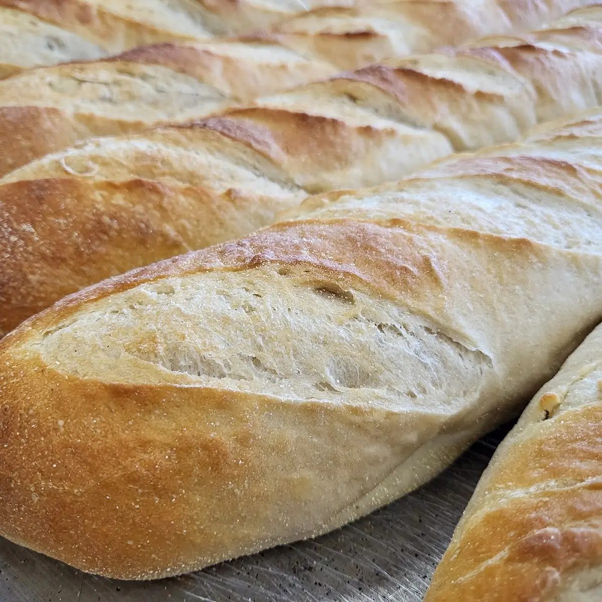 Freshly Baked Bread