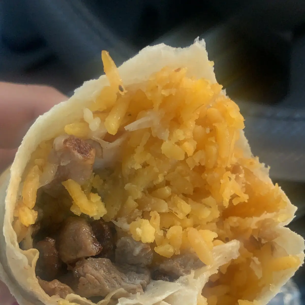 Carne Asada Burrito