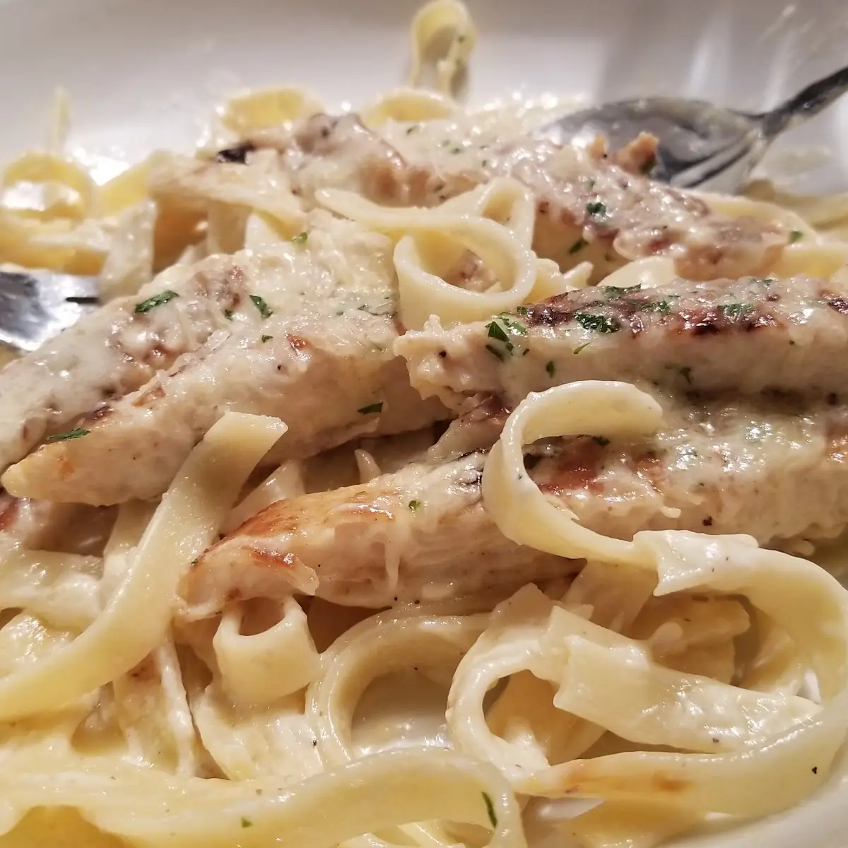 Chicken Alfredo