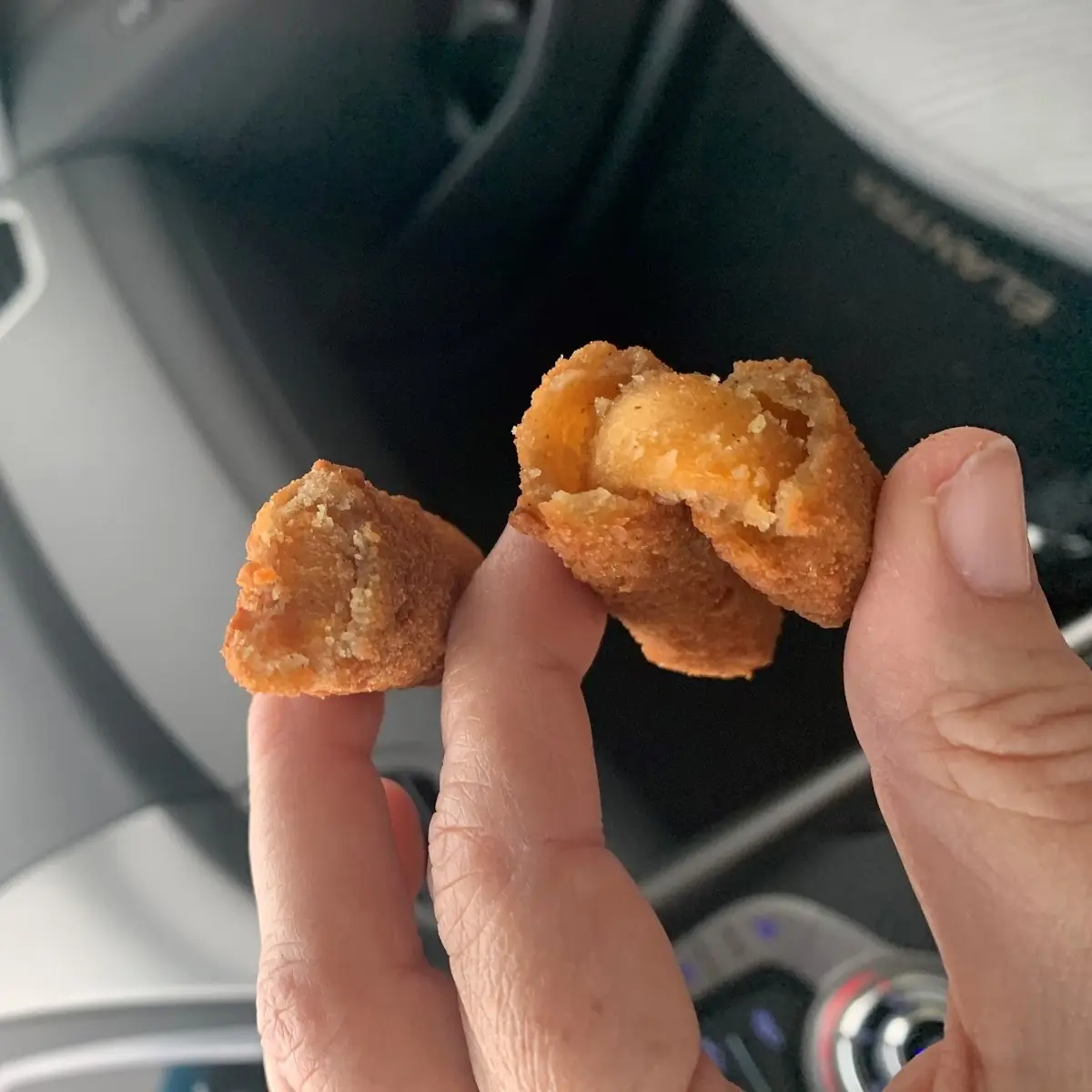 Cheese Sticks