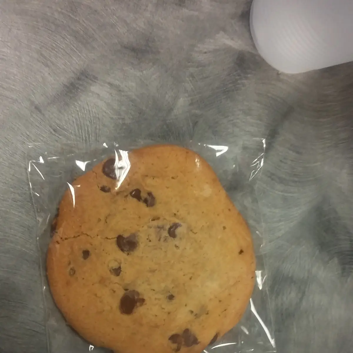 Chocolate Chip Cookie