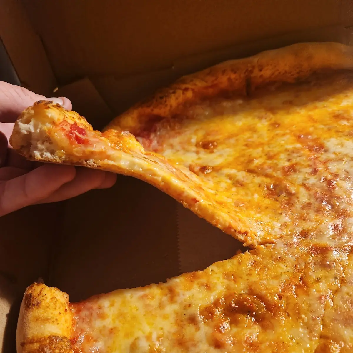 Cheese Pizza