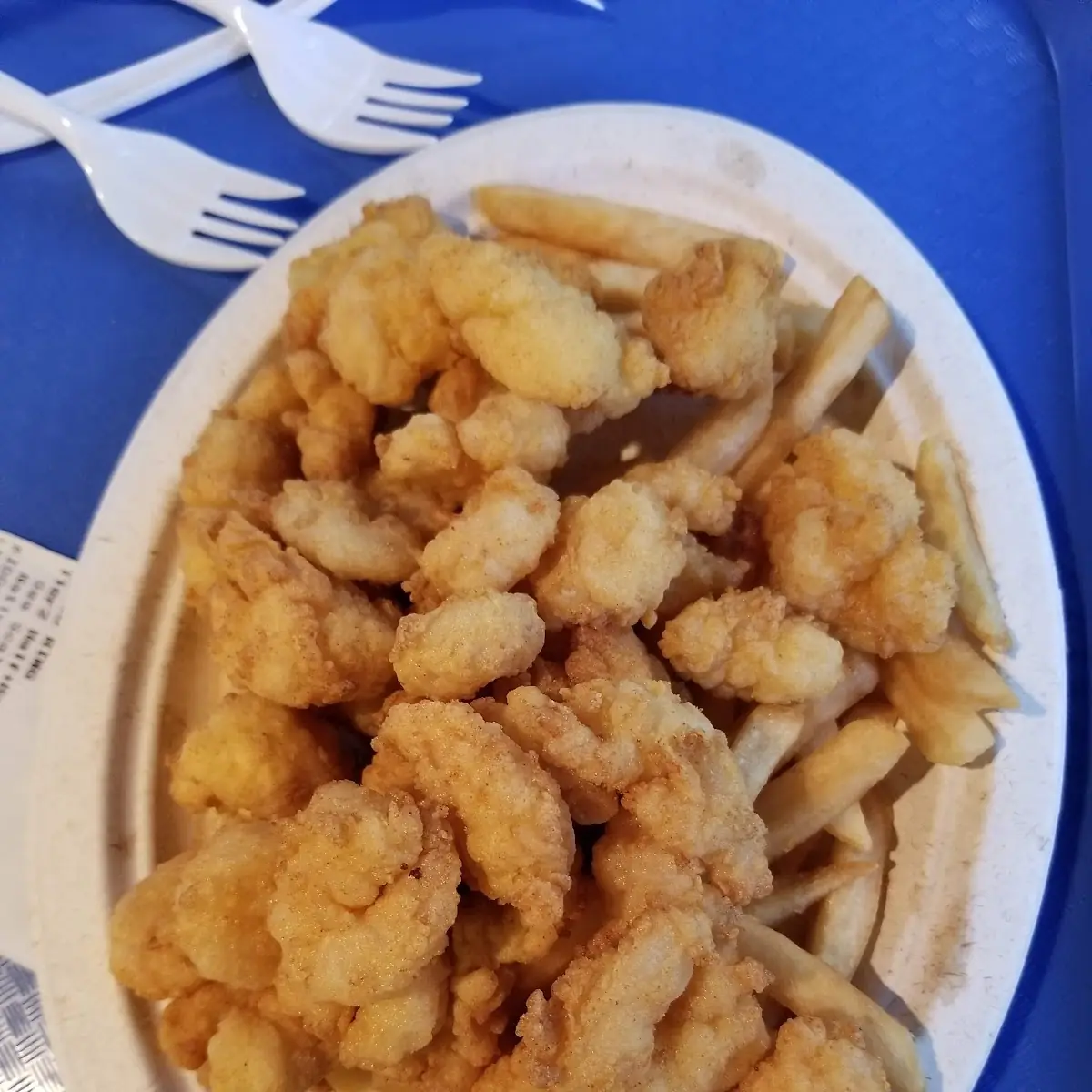 Shrimp and Fries