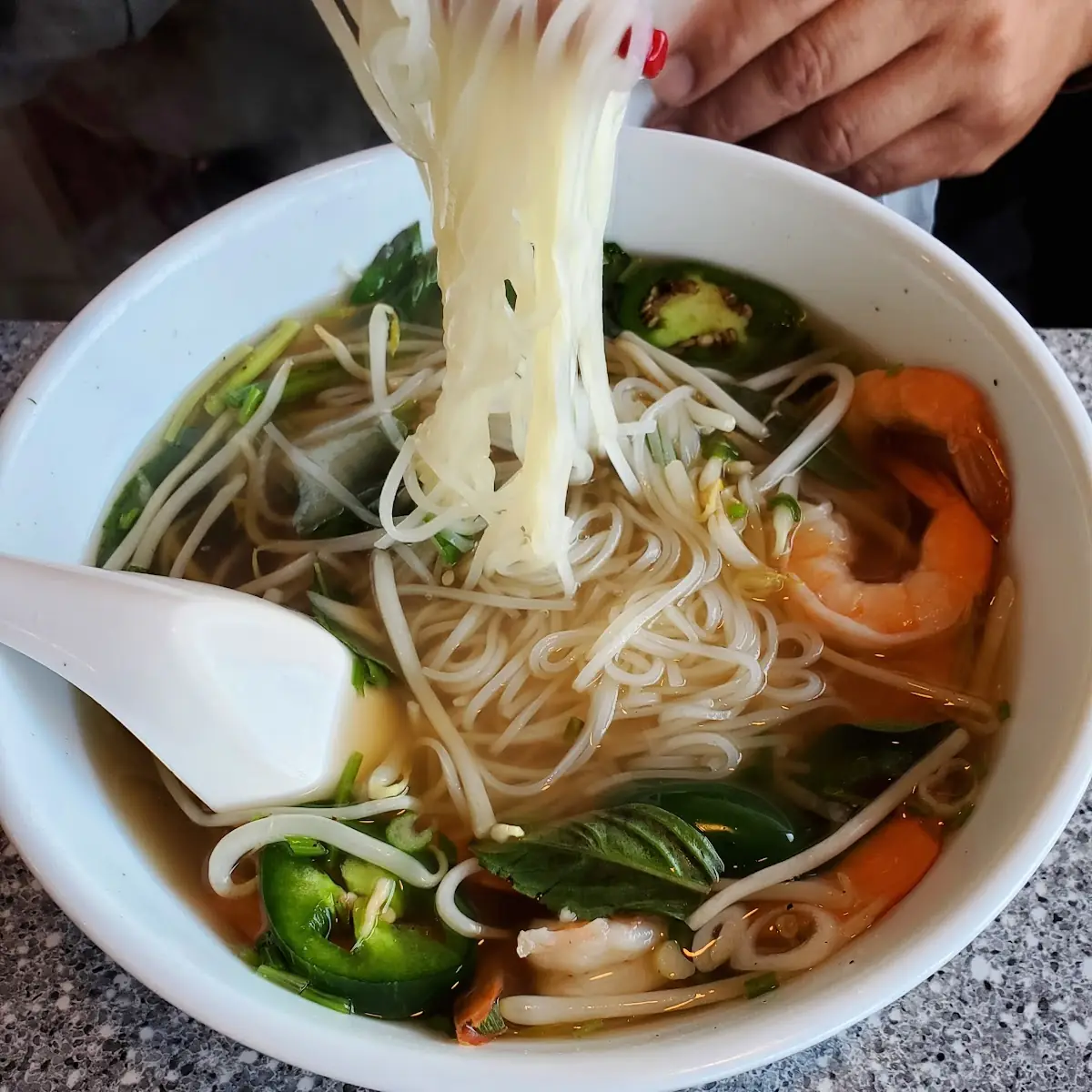 B2 - Water Spinach Vermicelli Soup / Canh Bún