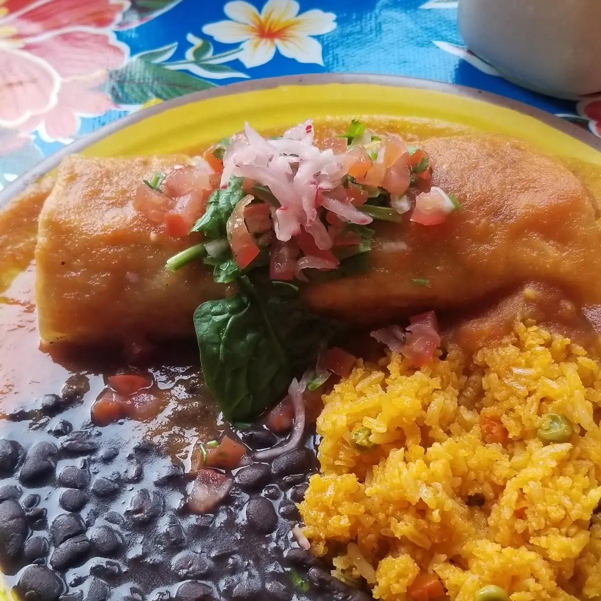 Vegan Burrito
