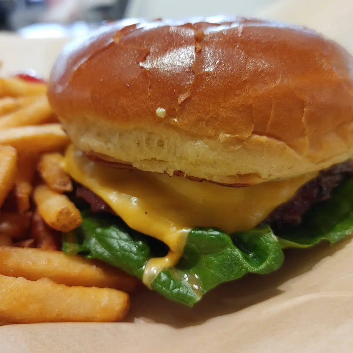Double Cheeseburger Combo