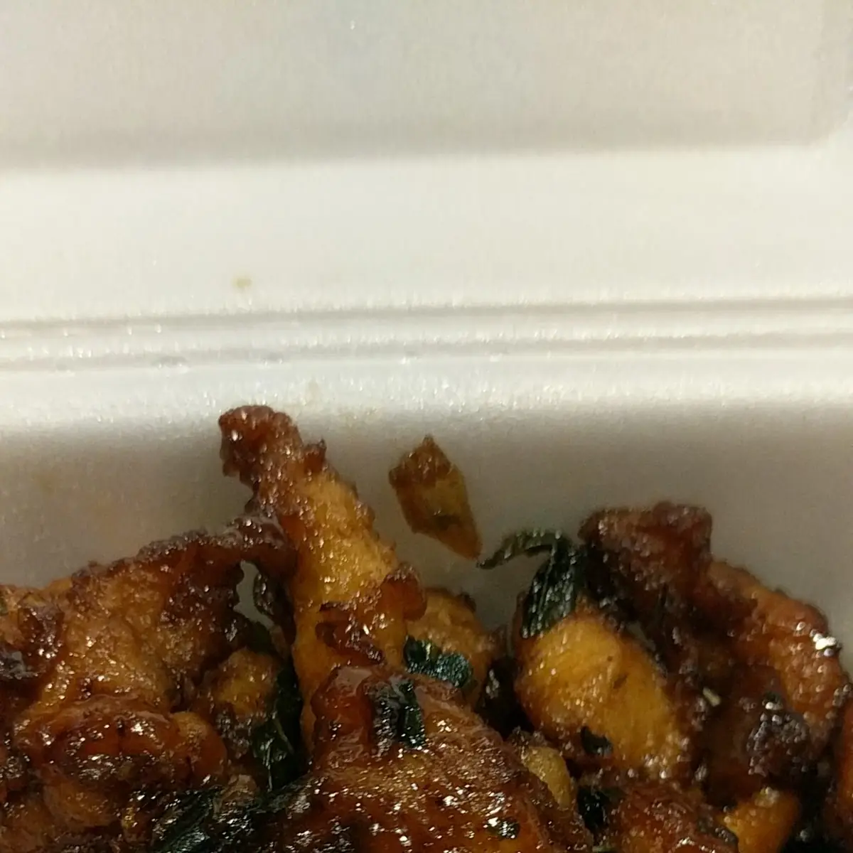 Crispy Garlic Chicken