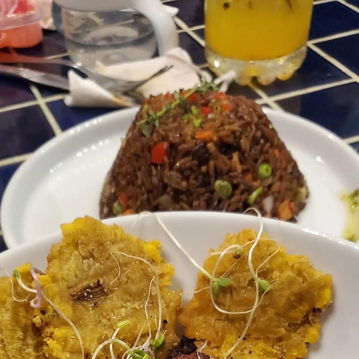 Carne Frita Super Rico