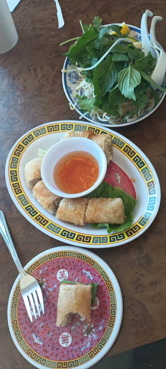 Vietnamese Spring Roll
