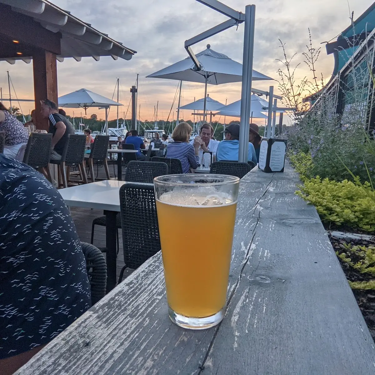 Draft Beer