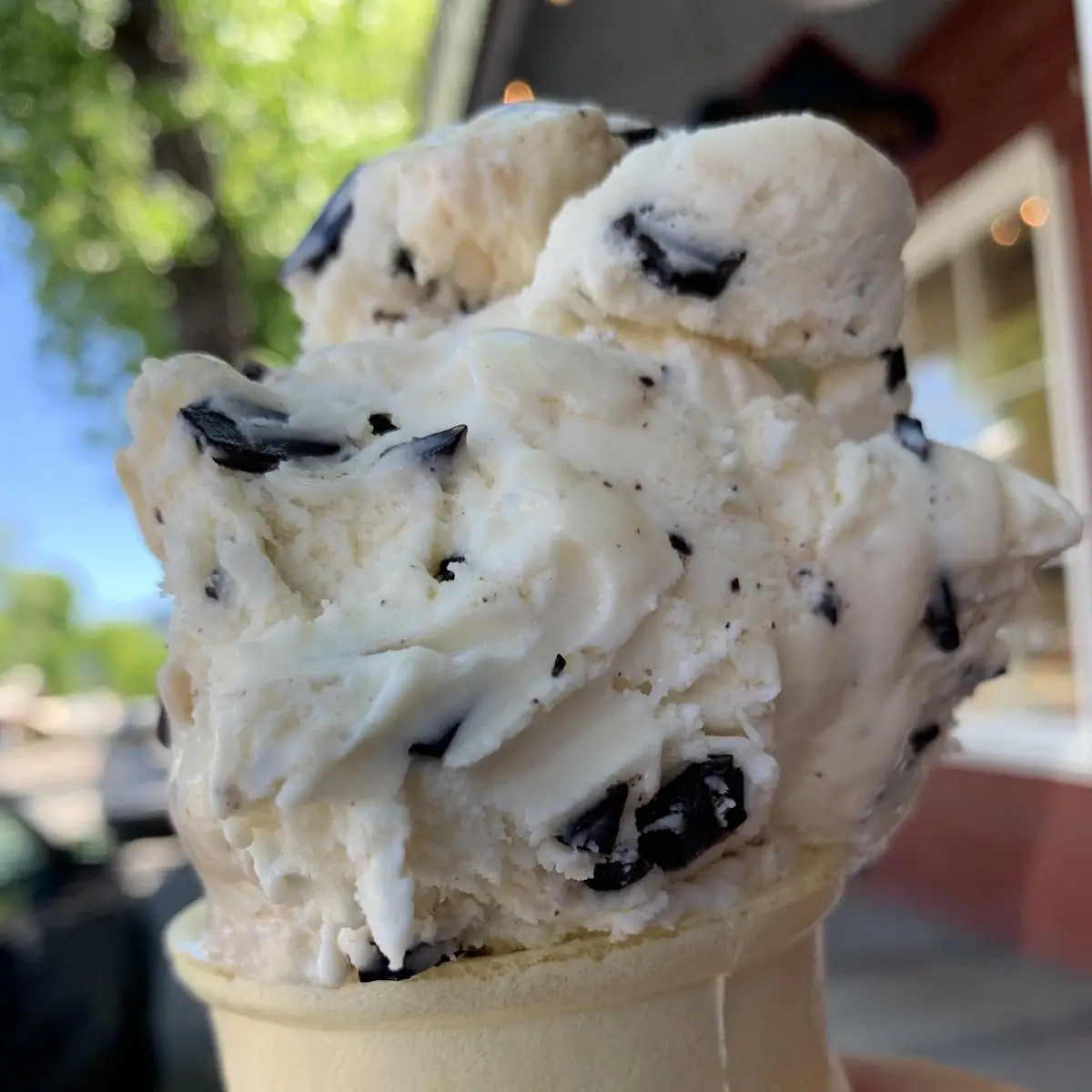 Chocolate Chip Ice Cream
