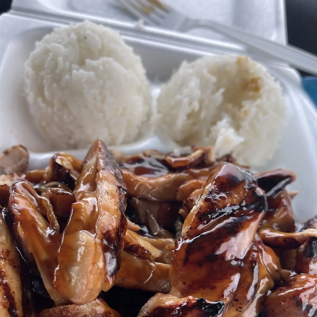 Chicken Teriyaki Lunch Special